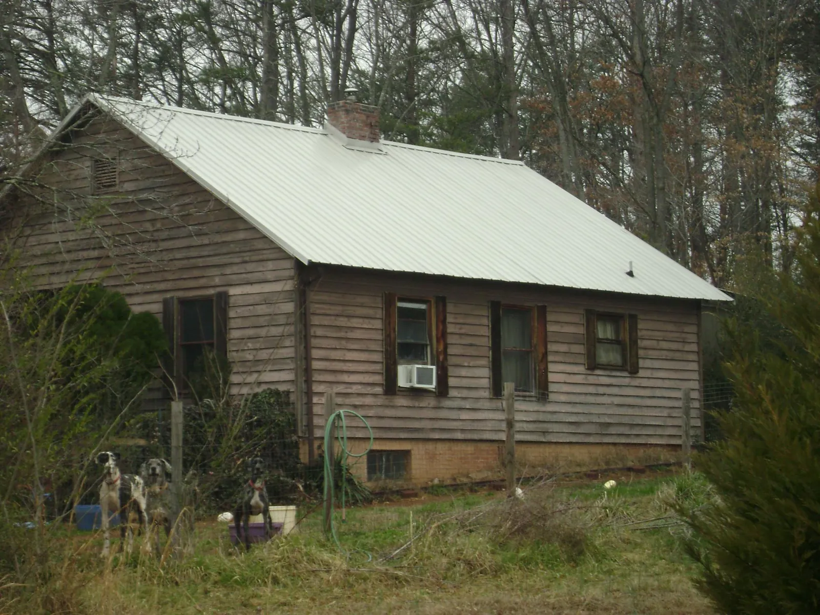 White metal roof on an old wood sided farmhouse, from a Metal Roof Installation job in Fork